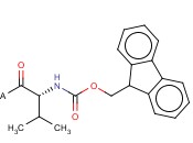 Fmoc-D-<span class='lighter'>Val</span>-Wang resin