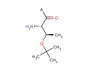 H-Thr(tBu)-2-<span class='lighter'>Chlorotrityl</span> <span class='lighter'>Resin</span>