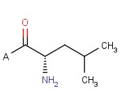 H-Leu-2-Chlorotrityl Resin