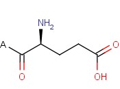 H-Glu-2-Chlorotrityl Resin