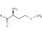 H-Met-2-Chlorotrityl Resin