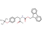 Fmoc-<span class='lighter'>Tyr</span>(tBu)-Wang resin