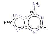 ADENINE, [13C(U)]-