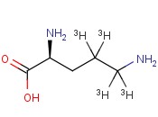 ORNITHINE, <span class='lighter'>L-</span>[4,5-3H]