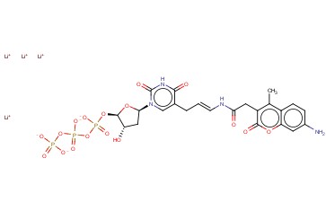 7-AMINO-4-METHYLCOUMARIN-3-ACETYL-(5-[3-AMINOALLYL]-2'-DEOXYURIDINE 5'-TRIPHOSPHATE) TETRALITHIUM SALT