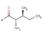 H-<span class='lighter'>Ile</span>-2-Chlorotrityl Resin