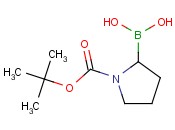 1-N-Boc-pyrrolidin-2-ylboronic acid