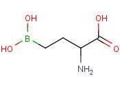 2-AMINO-4-BORONOBUTANOIC ACID