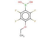 4-乙氧基-2,3,5,6-四氟苯基硼酸