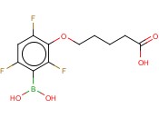 3-(4-CARBOXYBUTOXY)-2,4,<span class='lighter'>6-TRIFLUOROPHENYLBORONIC</span> ACID