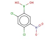 2,4-<span class='lighter'>DICHLORO</span>-5-NITROPHENYLBORONIC ACID