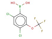 24-二<span class='lighter'>氯</span>-5-(<span class='lighter'>三</span><span class='lighter'>氟</span><span class='lighter'>甲</span>氧基)<span class='lighter'>苯</span>硼酸