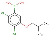 24-二氯-5-<span class='lighter'>异</span>丁<span class='lighter'>氧基</span><span class='lighter'>苯</span><span class='lighter'>硼酸</span>