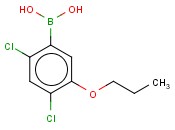 24-二氯-5-<span class='lighter'>丙</span><span class='lighter'>氧基</span><span class='lighter'>苯</span><span class='lighter'>硼酸</span>