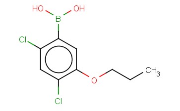 2,4-DICHLORO-5-PROPOXYPHENYLBORONIC ACID