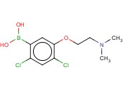 24-<span class='lighter'>二</span>氯-5-(2-(<span class='lighter'>二甲</span>基<span class='lighter'>氨基</span>)乙氧基)<span class='lighter'>苯</span><span class='lighter'>硼酸</span>