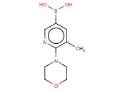 B-[5-<span class='lighter'>甲基</span>-6-(4-吗啉<span class='lighter'>基</span>)-3-<span class='lighter'>吡啶基</span>]硼酸