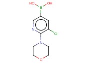 5-CHLORO-6-MORPHOLINOPYRIDIN-3-YLBORONIC ACID