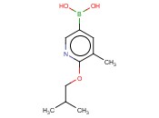 6-<span class='lighter'>异</span>丁<span class='lighter'>氧基</span>-5-甲基吡啶-3-<span class='lighter'>硼酸</span>
