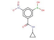 3-(<span class='lighter'>环</span><span class='lighter'>丙基</span>甲酰氨)-5-硝基苯基<span class='lighter'>硼酸</span>