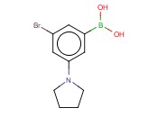 3-溴-5-<span class='lighter'>吡咯烷</span>o苯硼酸