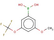 3-<span class='lighter'>甲</span>氧基-5-(三<span class='lighter'>氟</span><span class='lighter'>甲</span>氧基)<span class='lighter'>苯</span><span class='lighter'>硼酸</span>