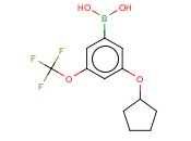 3-(环戊基<span class='lighter'>氧基</span>)-5-(<span class='lighter'>三</span><span class='lighter'>氟</span><span class='lighter'>甲</span><span class='lighter'>氧基</span>)<span class='lighter'>苯</span><span class='lighter'>硼酸</span>