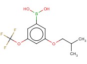 3-<span class='lighter'>异</span>丁<span class='lighter'>氧基</span>-5-(三氟甲<span class='lighter'>氧基</span>)<span class='lighter'>苯</span><span class='lighter'>硼酸</span>