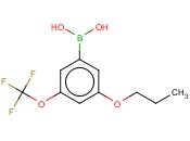 3-丙<span class='lighter'>氧基</span>-5-(<span class='lighter'>三</span><span class='lighter'>氟</span><span class='lighter'>甲</span><span class='lighter'>氧基</span>)<span class='lighter'>苯</span><span class='lighter'>硼酸</span>