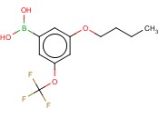 3-丁<span class='lighter'>氧基</span>-5-(<span class='lighter'>三</span><span class='lighter'>氟</span><span class='lighter'>甲</span><span class='lighter'>氧基</span>)<span class='lighter'>苯</span><span class='lighter'>硼酸</span>