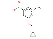 3-(Cyclopropylmethoxy)-5-methylphenylboronic acid