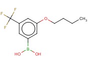 3-丁氧基-5-<span class='lighter'>三</span><span class='lighter'>氟</span><span class='lighter'>甲基</span><span class='lighter'>苯</span><span class='lighter'>硼酸</span>