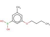 3-丁<span class='lighter'>氧基</span>-5-甲基<span class='lighter'>苯</span><span class='lighter'>硼酸</span>
