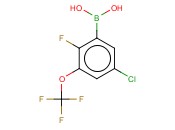 5-CHLORO-2-FLUORO-3-(TRIFLUOROMETHOXY)PHENYLBORONIC ACID
