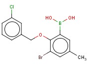 3-Bromo-2-(3'-chlorobenzyloxy)-5-methylphenylboronic acid