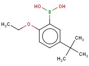 5-叔丁基-2-乙氧基<span class='lighter'>苯</span><span class='lighter'>硼酸</span>