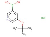 5-(TERT-BUTOXY)PYRIDINE-3-BORONIC ACID-HCL