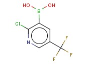 2-氯-5-三氟甲基吡啶-3-硼酸