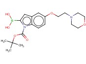 2-硼-5-[2-(4-<span class='lighter'>吗</span><span class='lighter'>啉</span><span class='lighter'>基</span>)乙氧基]-1H-吲哚-1-羧酸-1-(1,1-二甲基乙基)酯