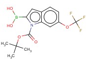 2-硼-6-三氟<span class='lighter'>甲</span><span class='lighter'>氧基</span>-1H-<span class='lighter'>吲哚</span>-1-羧酸-1-(1,1-二甲基乙酯)