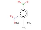 4-<span class='lighter'>叔</span><span class='lighter'>丁基</span>-3-<span class='lighter'>硝基苯</span>基硼酸