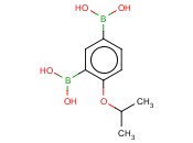 4-异丙氧基-<span class='lighter'>1,3</span>-亚<span class='lighter'>苯基</span><span class='lighter'>二</span><span class='lighter'>硼酸</span>