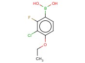 2-氟-3-氯-4-乙氧基苯硼酸
