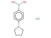 4-(Pyrrolidino)phenylboronic acid HCl