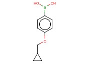 4-(CYCLOPROPYLMETHOXY)<span class='lighter'>BENZENEBORONIC</span> ACID