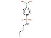 N-(3-Chloropropyl) 4-boronobenzenesulfonamide