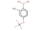 2-Methyl-4-(trifluoromethoxy)<span class='lighter'>phenylboronic</span> acid