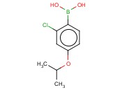 2-<span class='lighter'>氯</span>-4-<span class='lighter'>异</span><span class='lighter'>丙基</span><span class='lighter'>苯</span><span class='lighter'>硼酸</span>