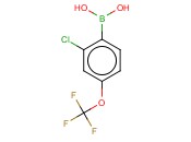 2-<span class='lighter'>氯</span>-4-<span class='lighter'>三</span><span class='lighter'>氟</span><span class='lighter'>甲</span>氧基<span class='lighter'>苯</span>硼酸