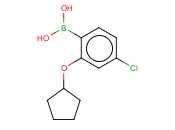 4-氯-2-(环戊基氧基)<span class='lighter'>苯</span><span class='lighter'>硼酸</span>